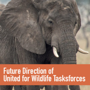 Image - Future Direction of United for Wildlife task forces
