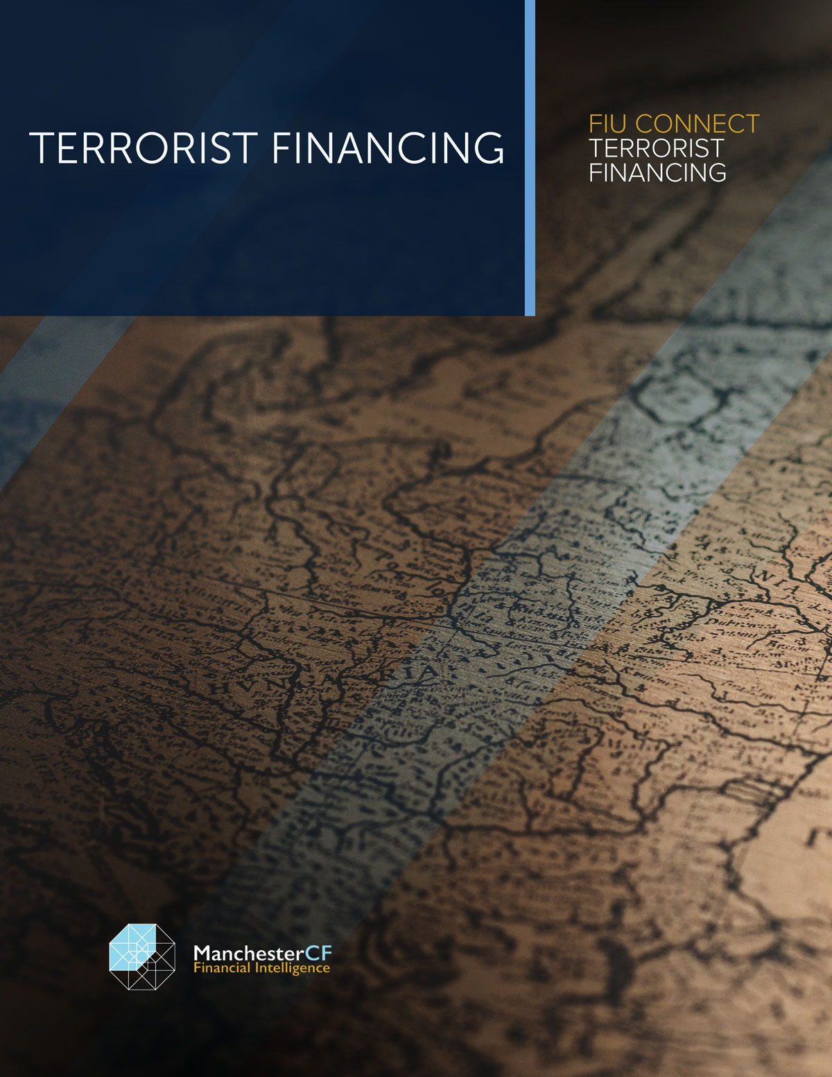 Textbook cover FIU CONNECT (Terrorist Financing)